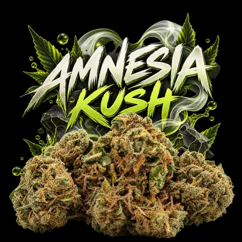 Amnesia Kush