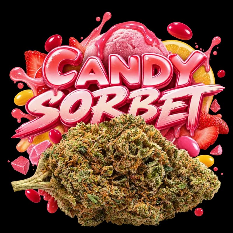 Candy Sorbet