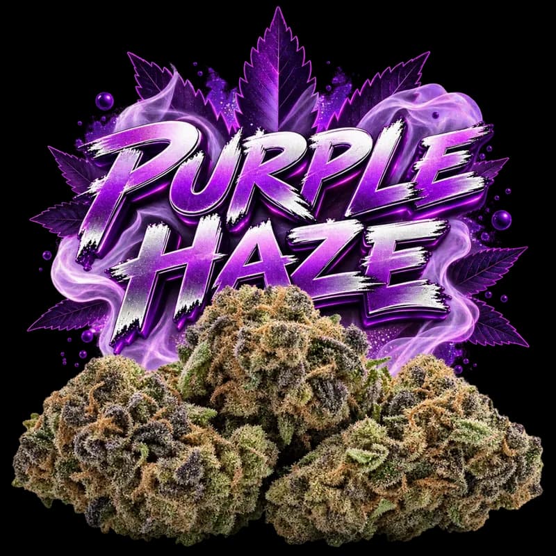 Purple Haze