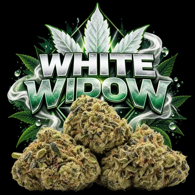 White Widow