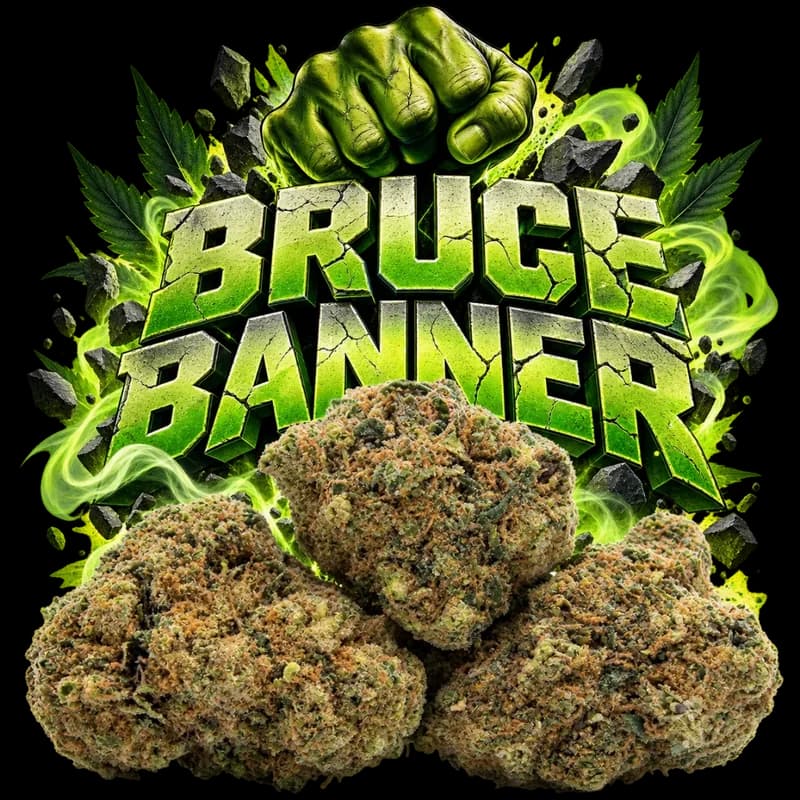 Bruce Banner