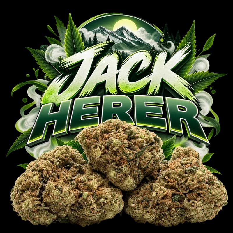 Jack Herer